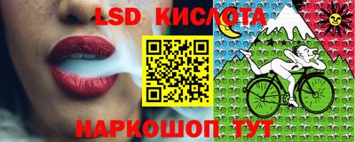 ALPHA PVP Гусев