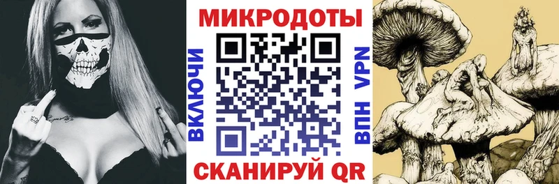 Псилоцибиновые грибы Psilocybine cubensis Нефтекумск